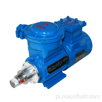 Mikro Gear Pump Pompa Explosion